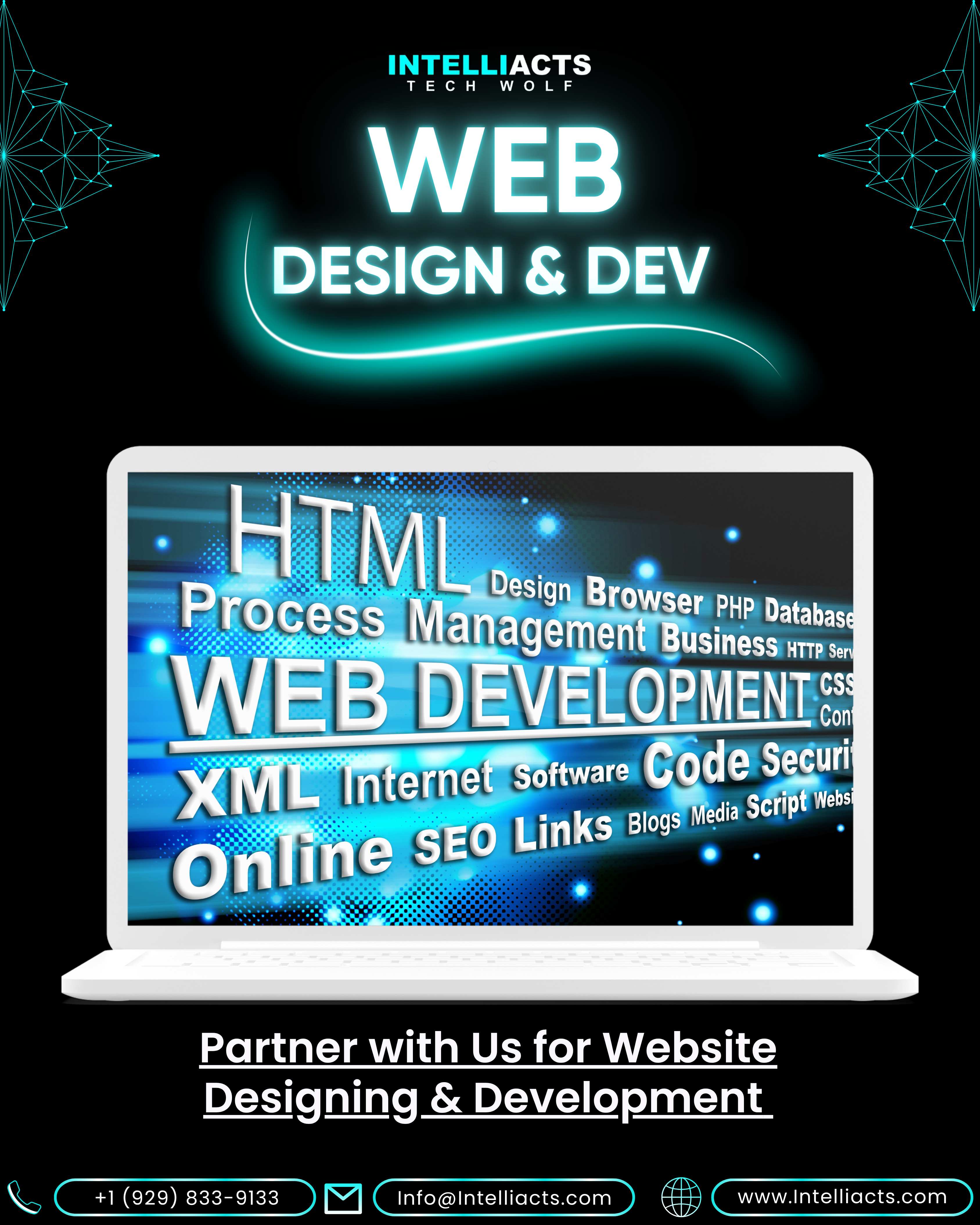 Web Design & Development